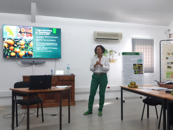 Séminaire de restitution du projet Agrumiculture. © I Jean-Baptiste, Chambre d'Agriculture